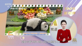 h视频网站在线观看